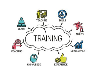 training-education
