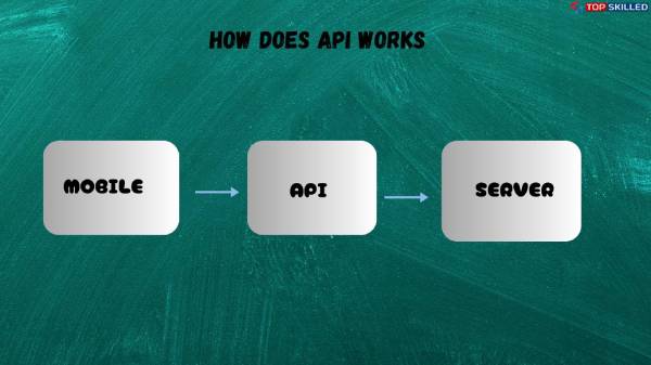 API-works-software-programming