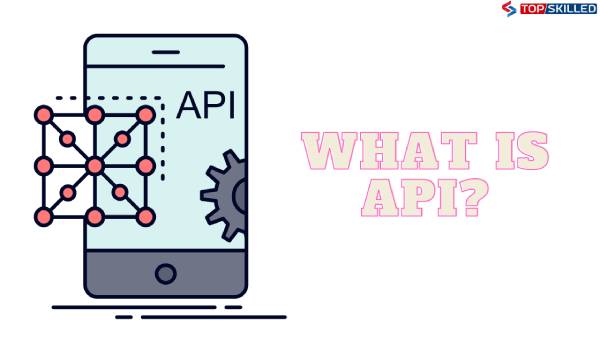 what-is-API-works